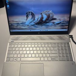 HP Pavilion Laptop (works but broken)