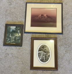 3 Pictures Plus Frames 