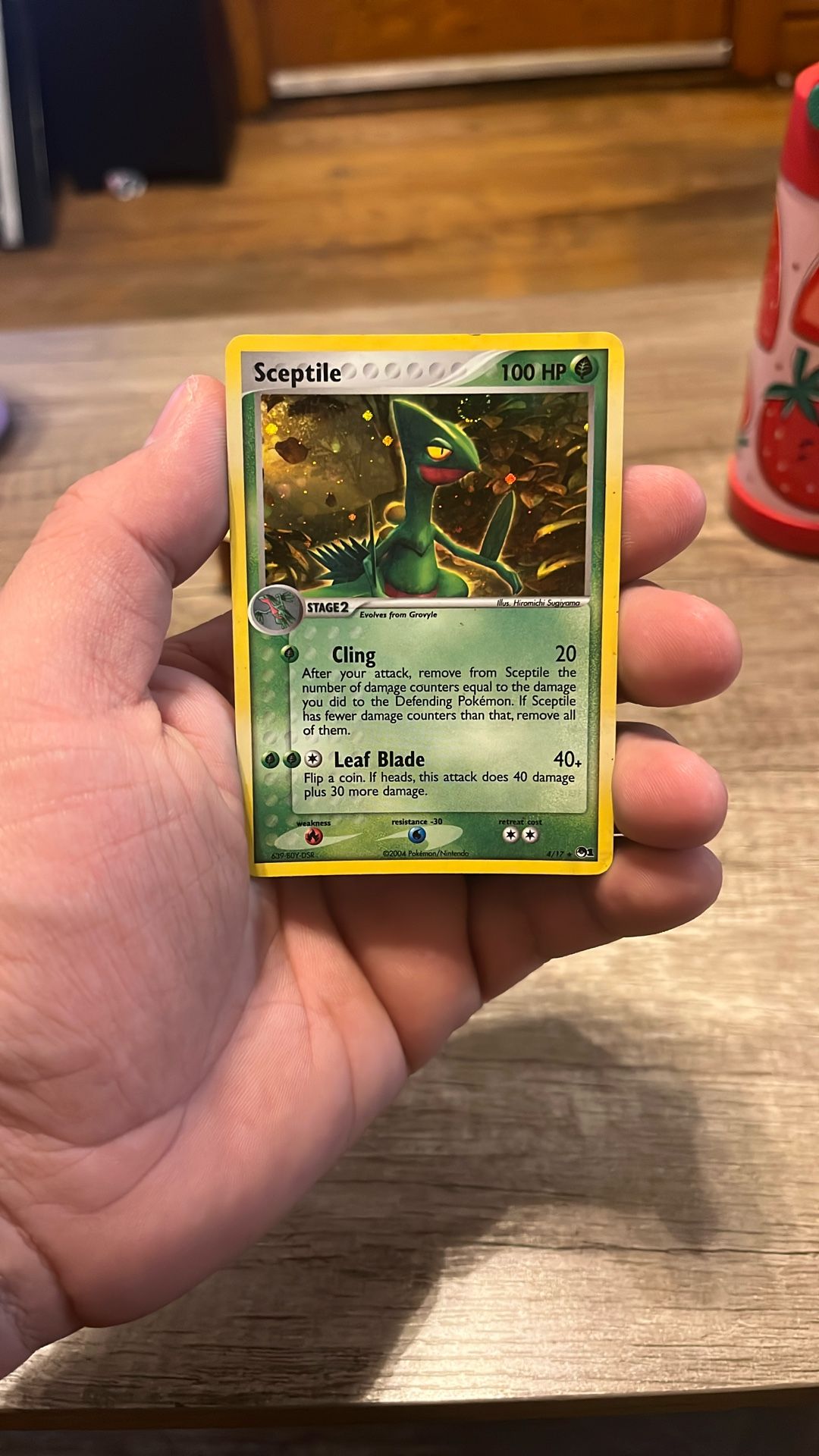 Pokémon Sceptile 