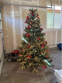 Pre-lit premium so real Christmas tree.