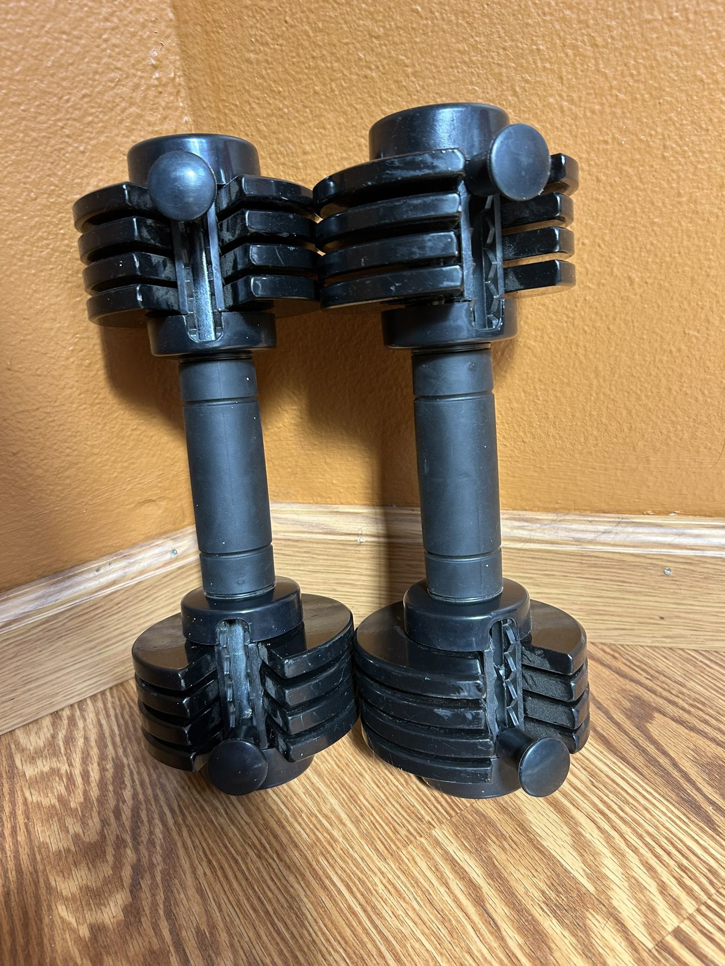 Adjustable Weights