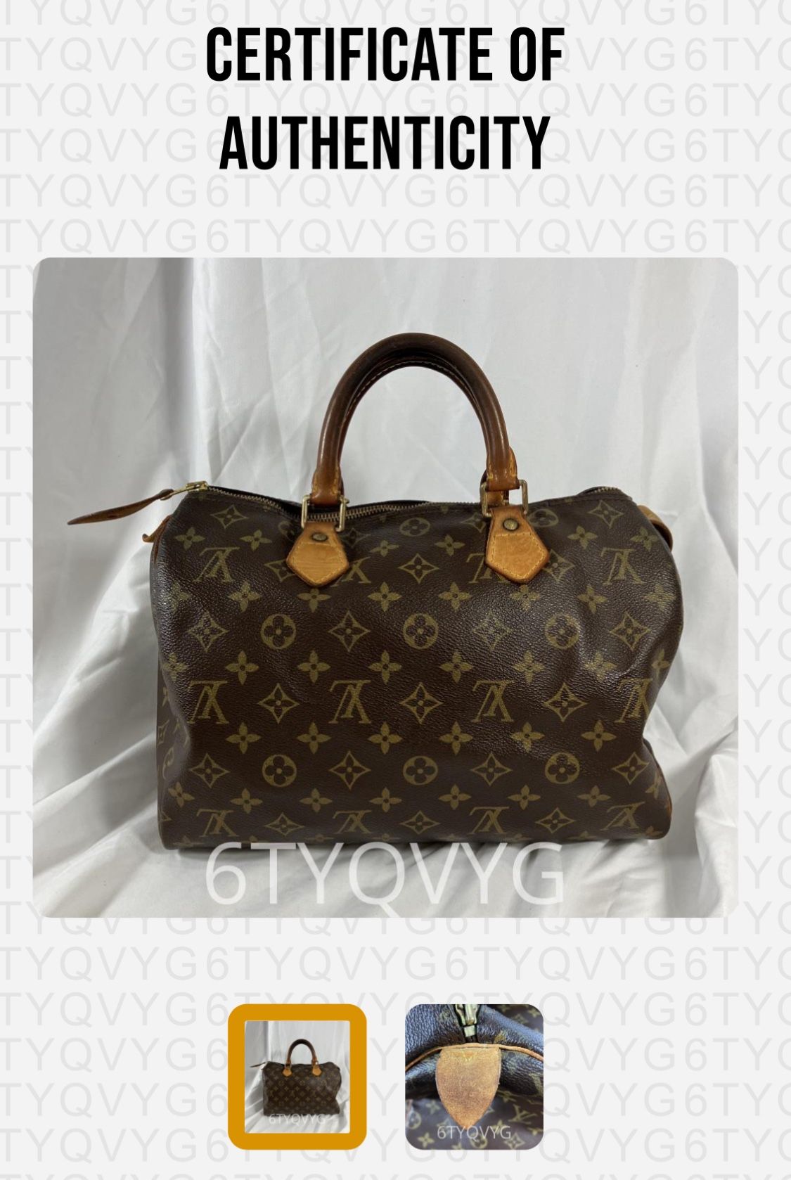 Authentic Louis Vuitton Speedy Bag Combo