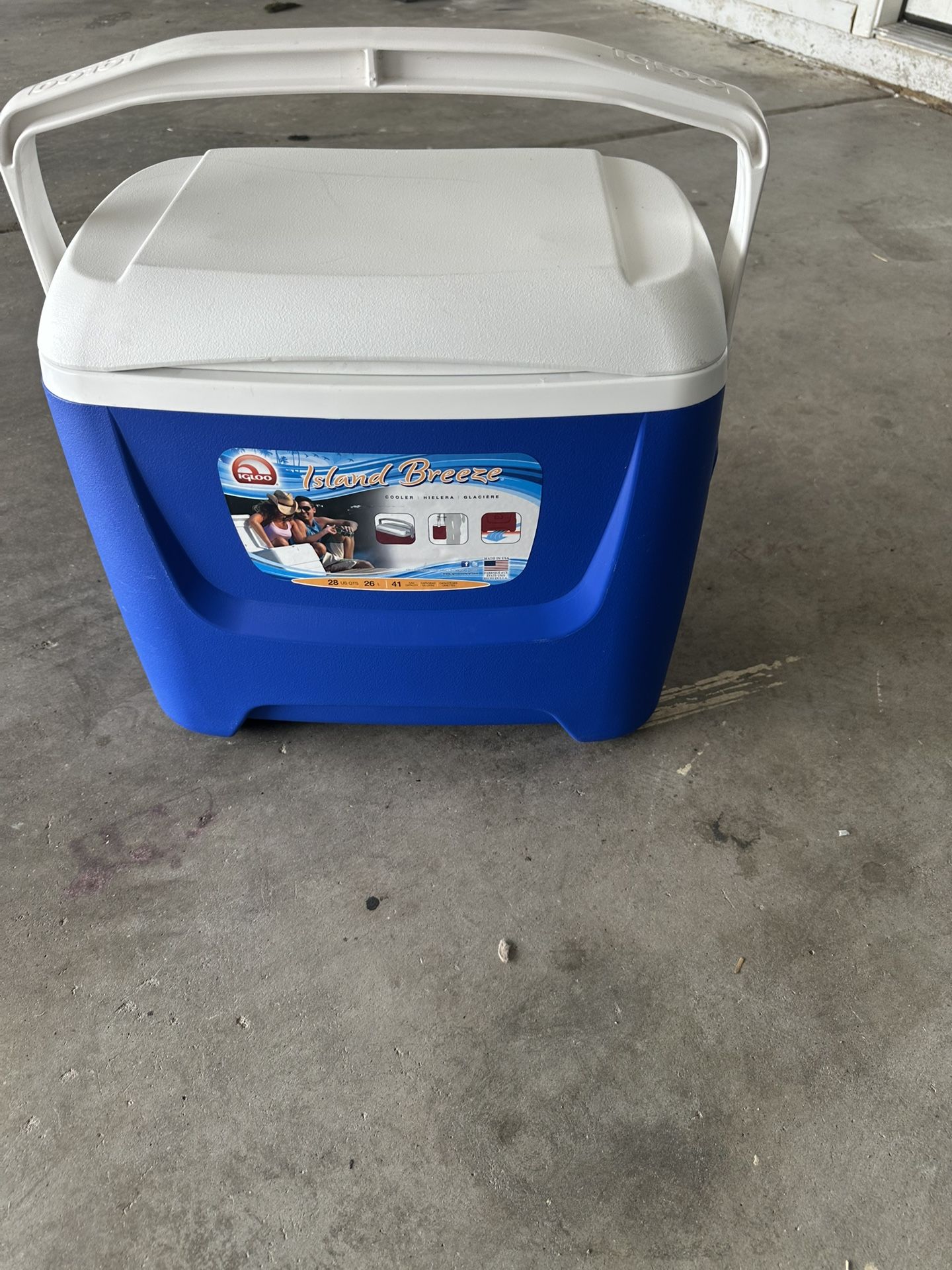Igloo Cooler 20L