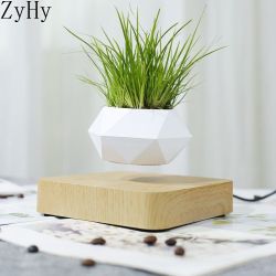 Levitation Plant / Pot  ( Plant Not Included)