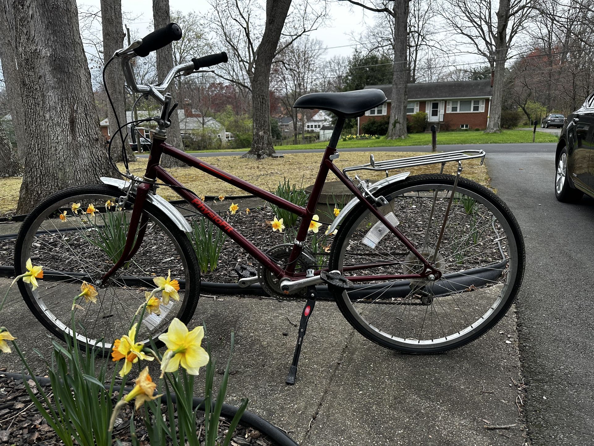 Free Spirit Physiofit Bike