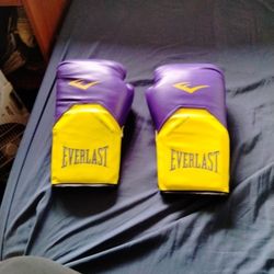 Everlast Boxing Gloves