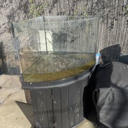 Free Fish Tank