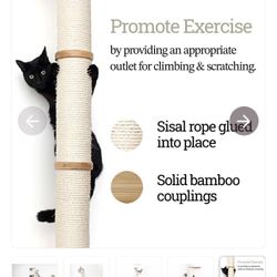 Wall Mounted Cat Climbing Pole