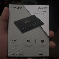 PNY 250gb Drive’s $25 a piece