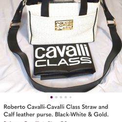 Roberto Cavalli