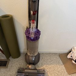 Dyson Slimball Animal