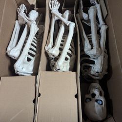 Ultra Poseable Skeletons 3 Pack