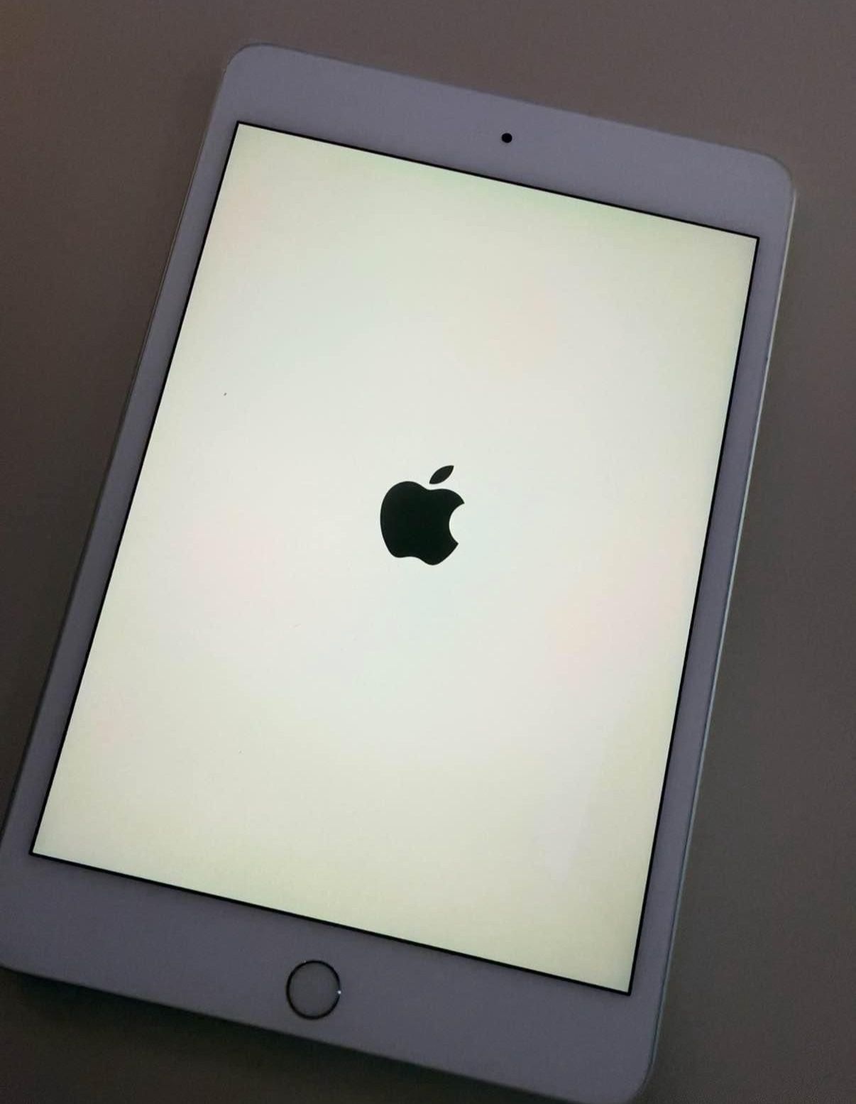 Apple iPad Mini