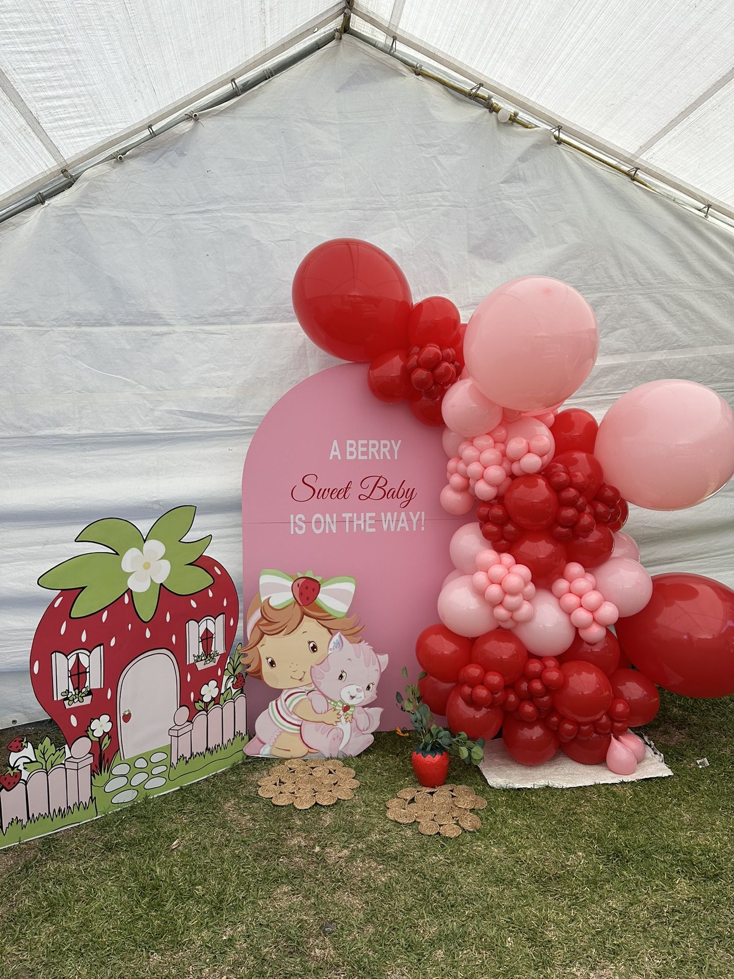 Strawberry Shortcake Backdrops.!