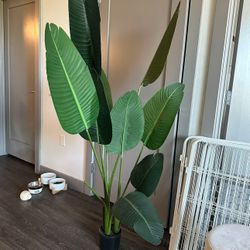 5 Foot Artificial Silk Bird of Paradise Palm Tree