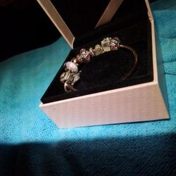 Pandora Bracelet 