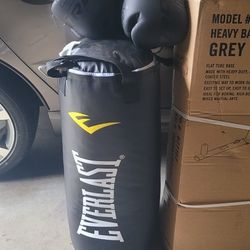 NEW Everlast Punching Bag / Stand / Gloves