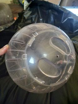 10" Hamstee Exercise Ball