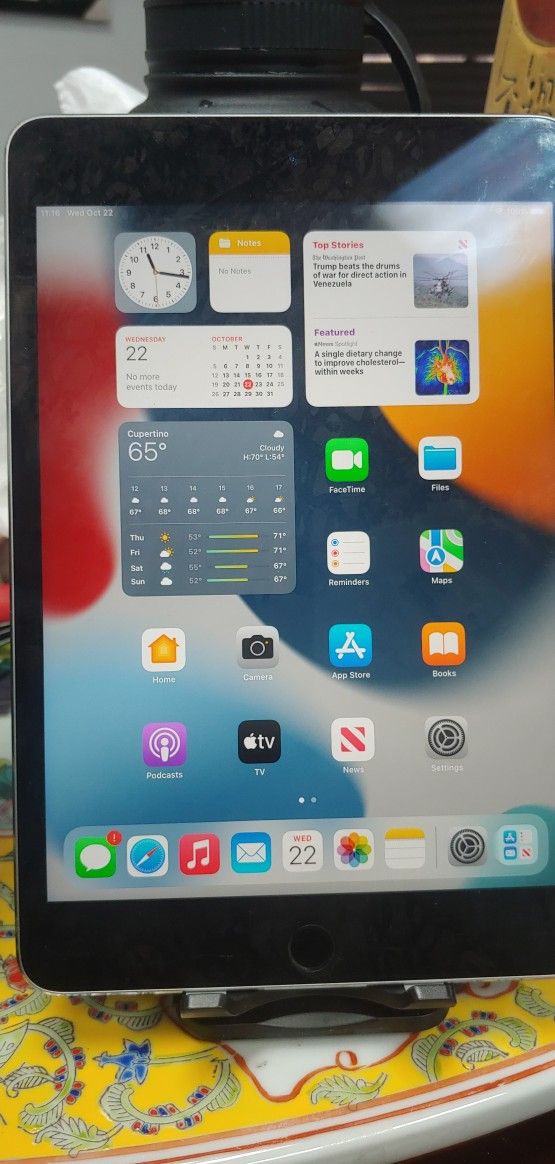 2 X. IPAD MINI 4 - 32GB - IOS 15.7