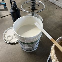 Free Paint, Cream Color And Tan Color 