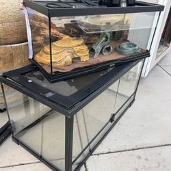 50 And 20 Gallon Tank 