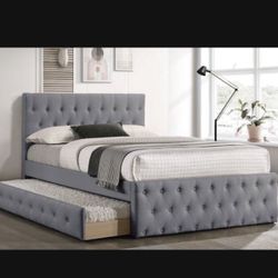 Fulltwin Grey Frenchi Double With Ortho Matres!!