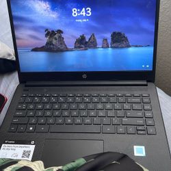 Hp Laptop