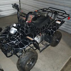 Tao Tao 110cc Mini Quad