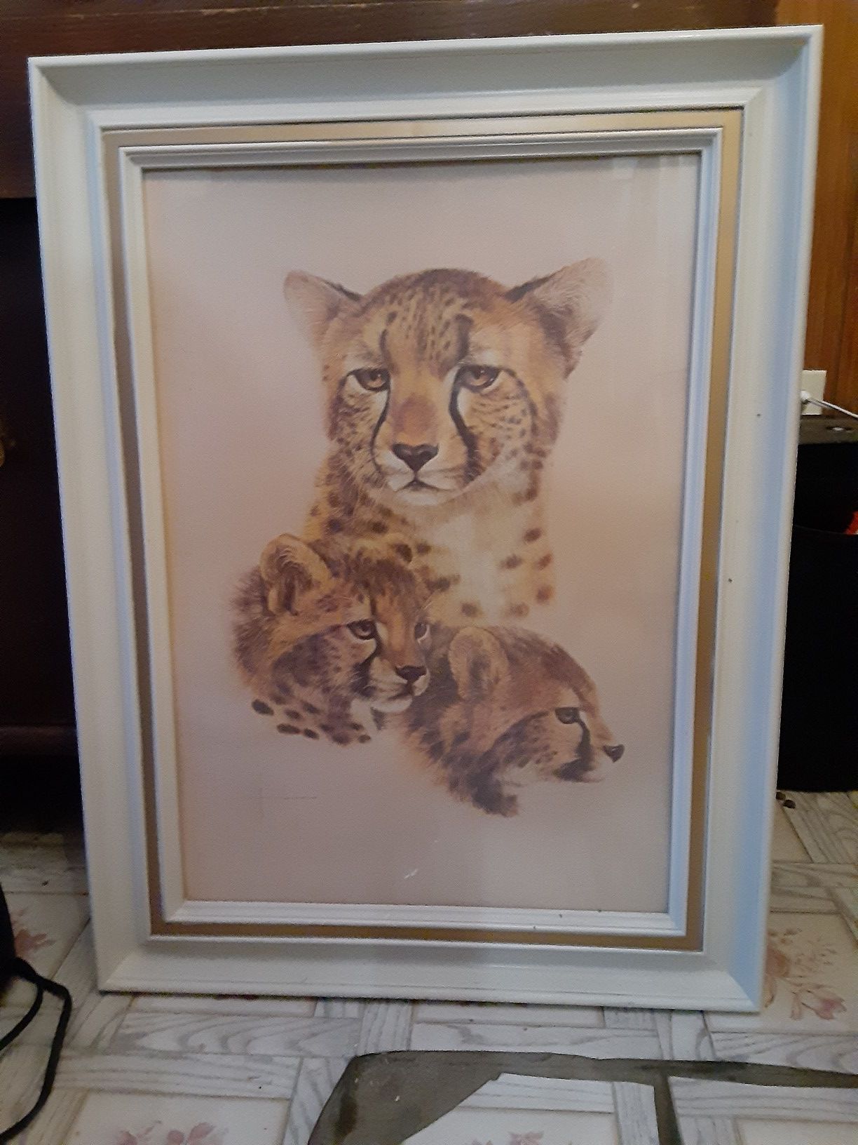 Vintage Cheetah w Cubs Pic