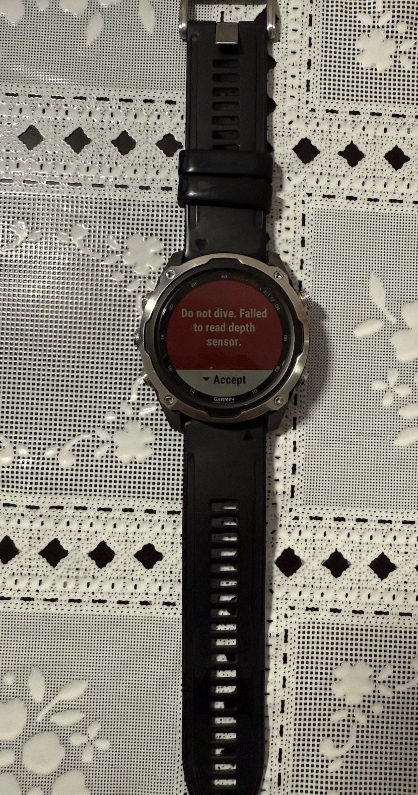 Garmin Descent Mk2 GPS Watch - Stainless Steel with Black Band