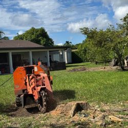 Stumps grinder Palms and  trees