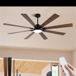 Ceiling Fan