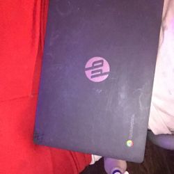 Hp Chromebook