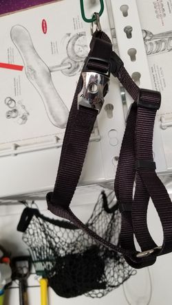 Petmate harness collar