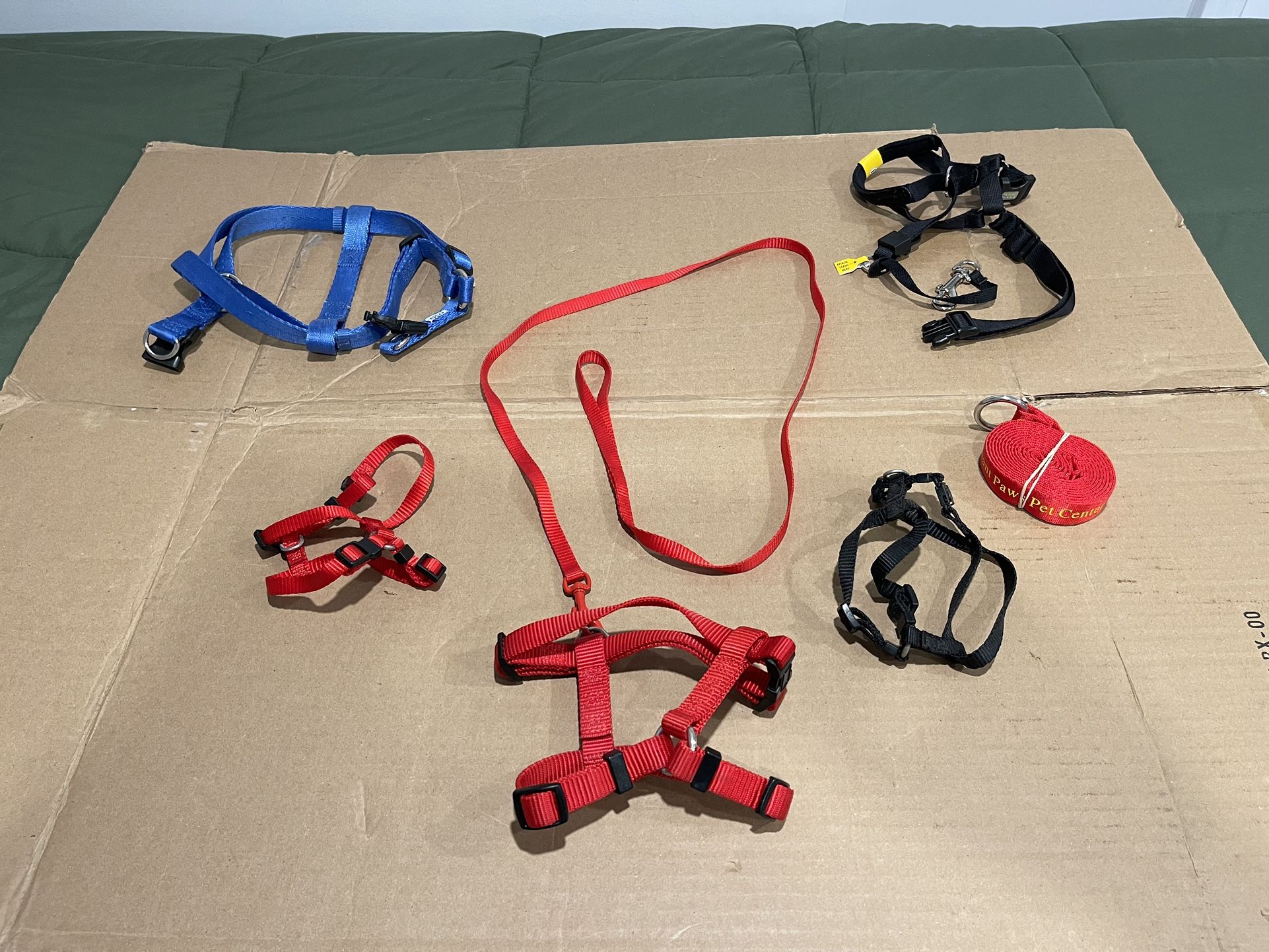 Lot of 2 Small Dog And Cat Leashes with 5 Front Body Harnesses /READ DESCRIPTION