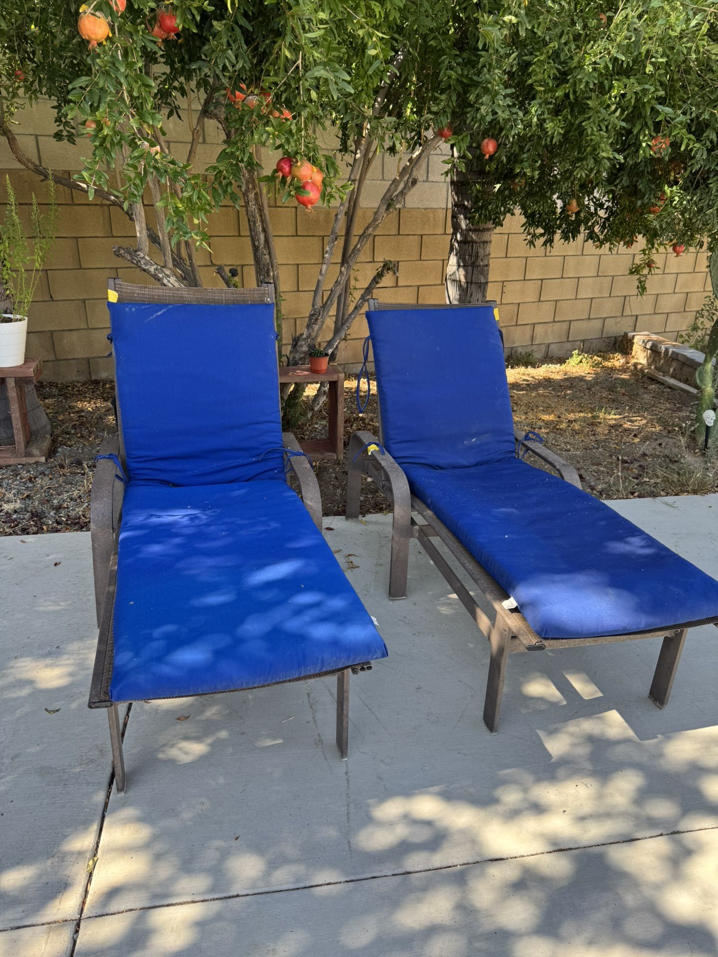 FREE 2 PATIO CHAIRS