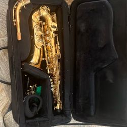 Alto Saxophone 🎷 