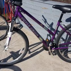 Women's Brand New Purple Royal Union