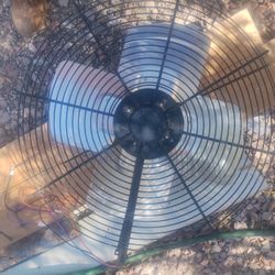A/C fan & motor 