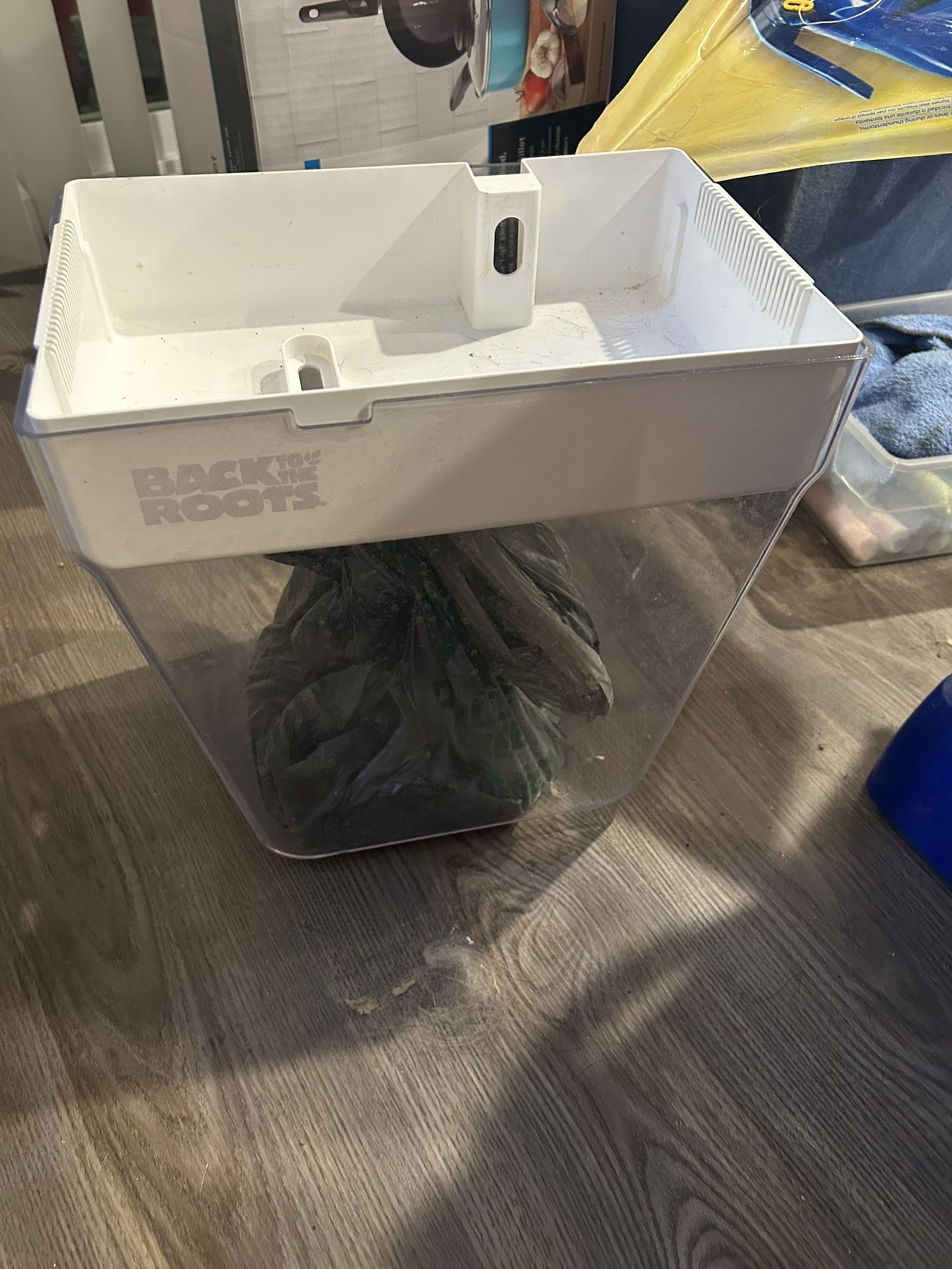 Beta Planter