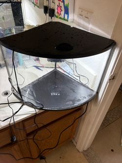 10 gallon fish tank