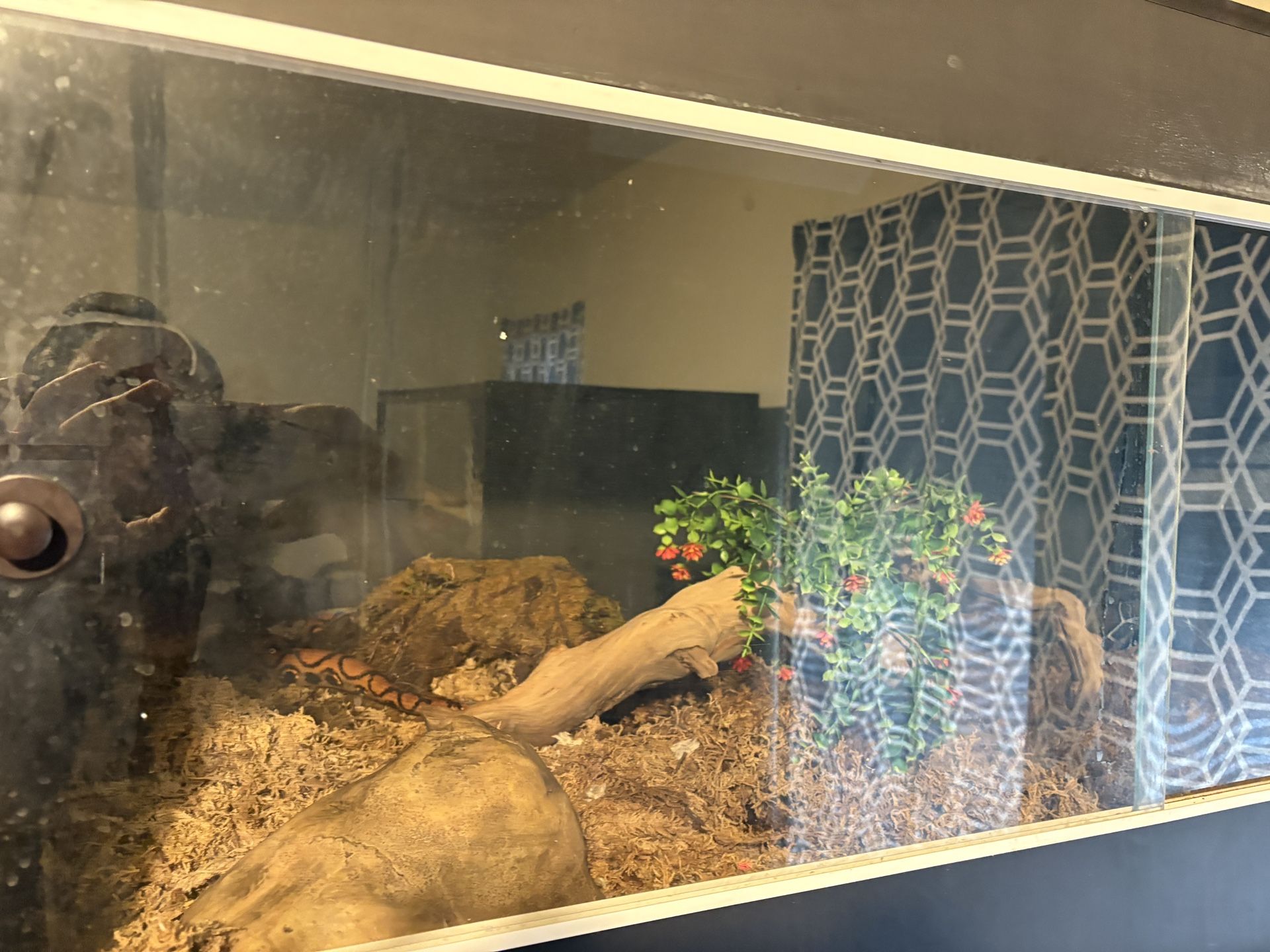 PVC 4x2x2 Snake Enclosure