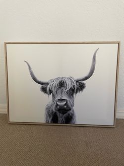 Highland Cow Canvas Wall Art