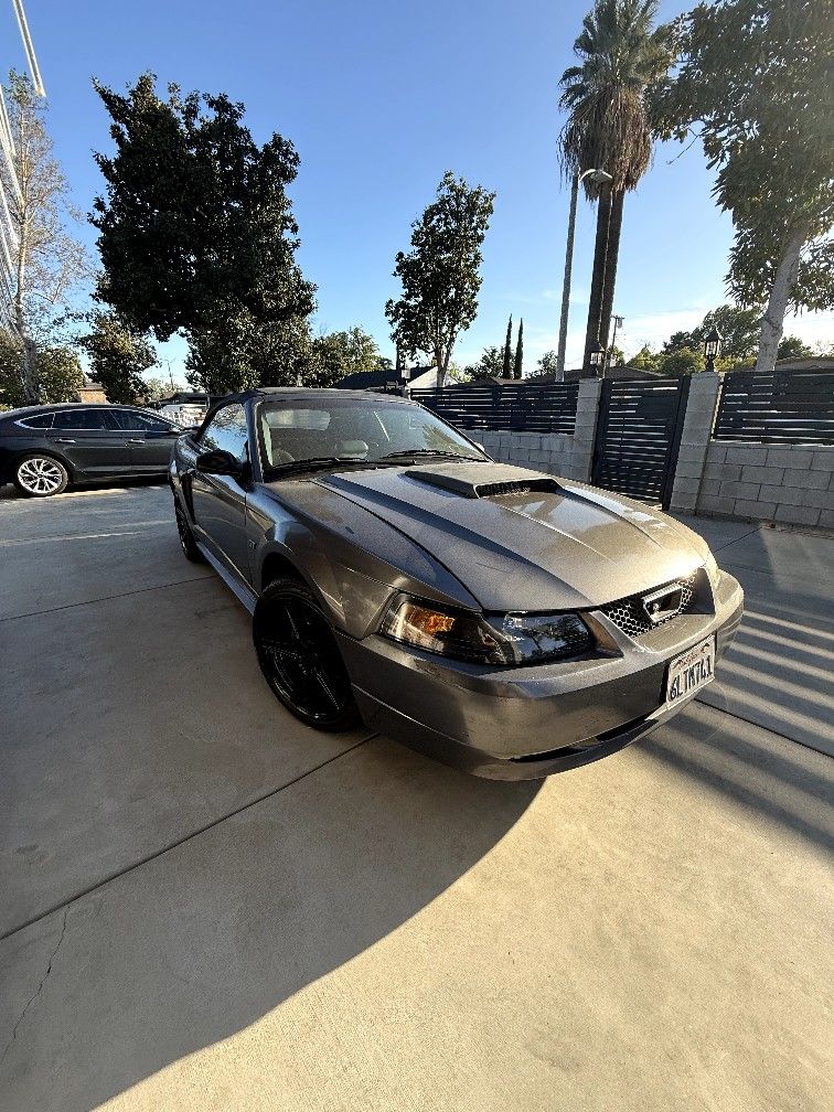 2003 Ford Mustang