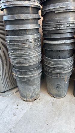 15 gallons planted pot