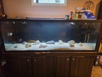 180g Aquarium w/extras