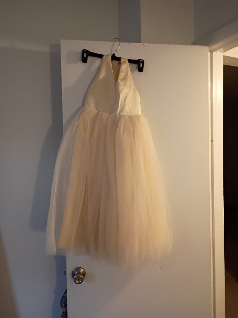 Champagne Flower Girl Dress 