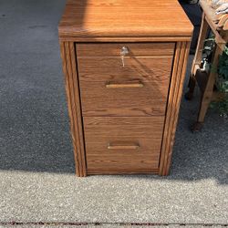Oak 2 Drawer File Cabinet 