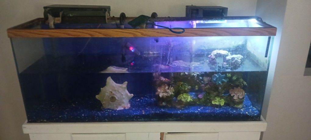 50 Gallon Tank Comes With Filter And Stand