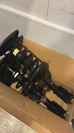 Back struts